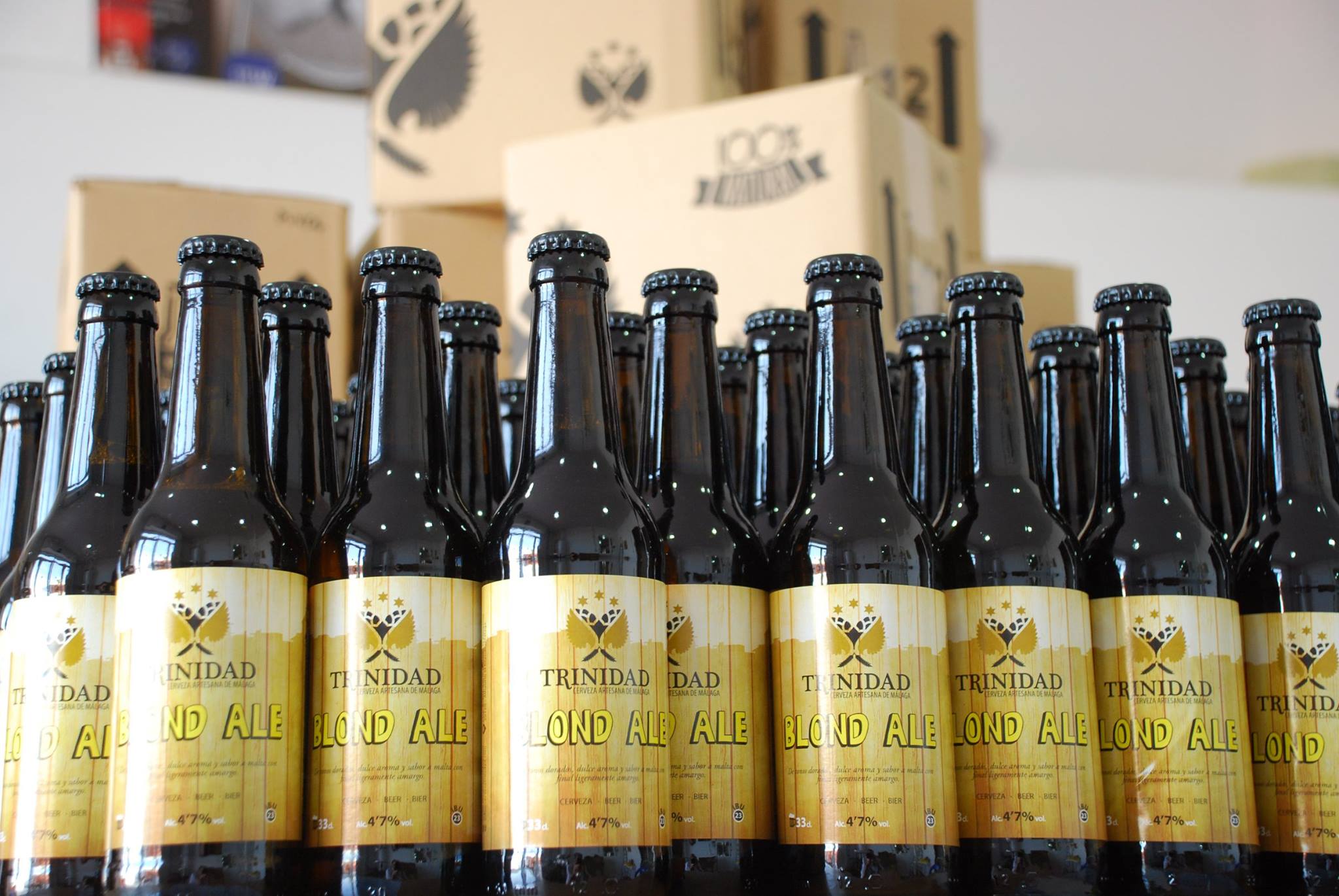 Lee más sobre el artículo Llega Trinidad, la nueva fábrica de cerveza artesana de Málaga