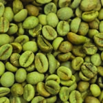 Café Verde India Parchment AB – robusta 1Kg
